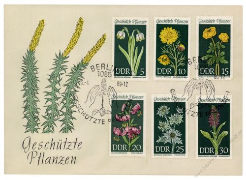 DDR 1969 FDC Mi-Nr. 1456-1461 SSt. Geschtzte heimische Pflanzen